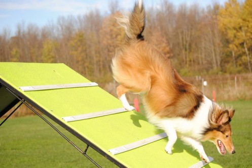 Flying?!
