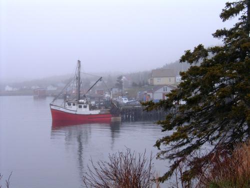Fog in Louisbourg Harbour