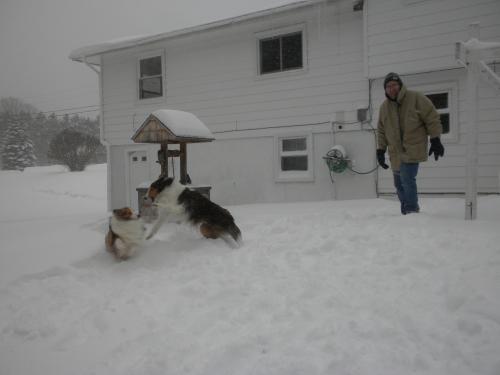Frolicking in our backyard