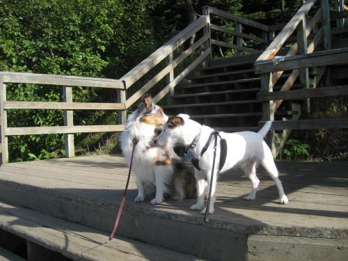 Getting ready for the hike.