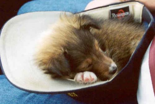 Going home