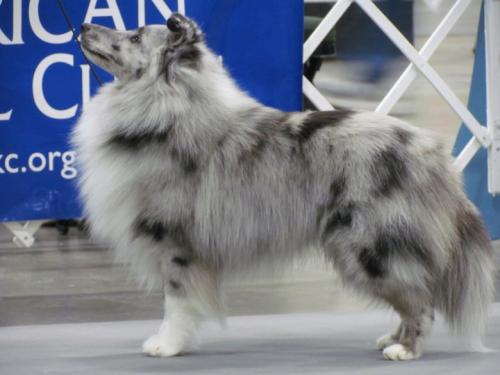 Grizz 19 months Land O' Lakes 1-11