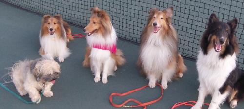 Group shot