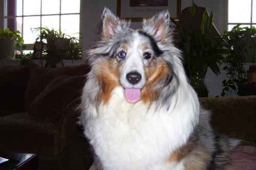 gypsy aug 2009 003  How cute am I......