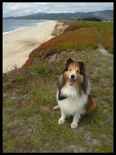Half Moon Bay