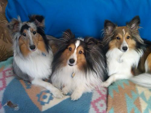 Happiness comes in threes!