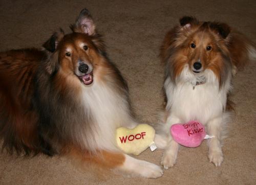 HappyValentinesDay