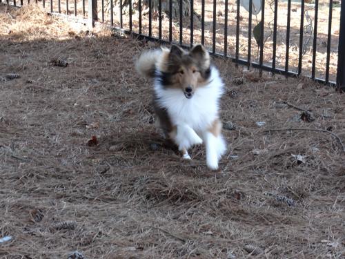 Here I come!