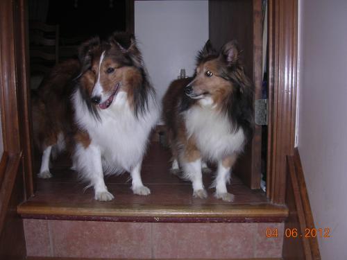 Hey Belle, now that I'm cleaned up I look just like you... just a tad shorter :)