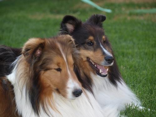Hey Mom,  we made up and we're friends again!