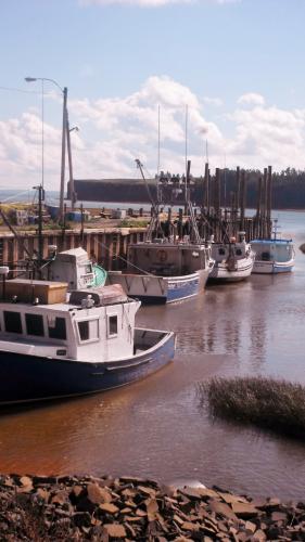 High Tides, Bay of Fundy