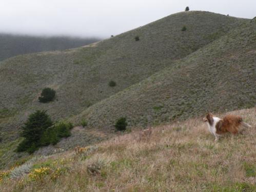 Hiking