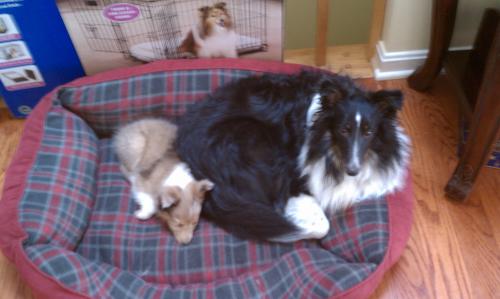 Holly and Logan - Their 1st day together