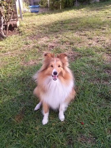 Honey, 15 months