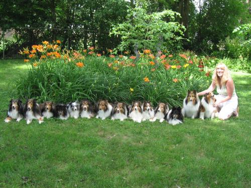 Honey, I'm bringing home a few friends...