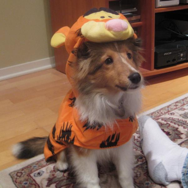 I am bouncy like Tigger