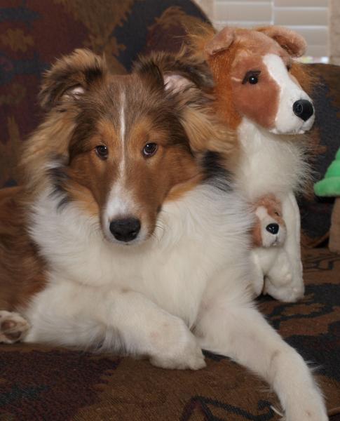 I asked and asked for a playmate, and THIS is what I got!  Really!