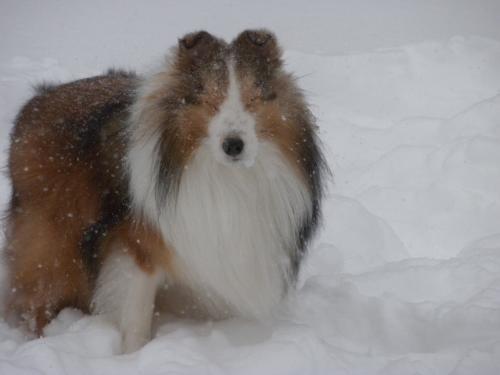 I can't see!  The snow's in my eyes...