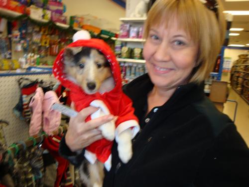 I couldn't resist trying on a Christmas costume on our pup Zoey. She was way more patient for that sort of thing back then...lol.