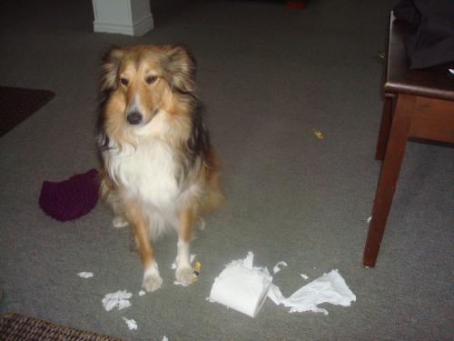 I did NOT do this..