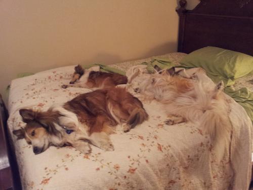 I guess I'm sleeping on the floor tonight!