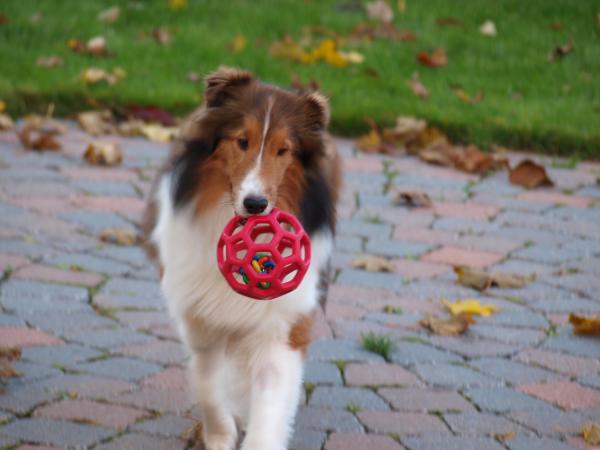 I love, love, love my new ball!