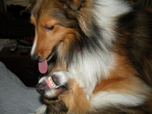 "I love you, brother!"
"Go away!"