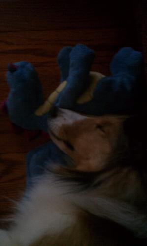 I Luv Mr. Dino