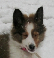 i really like this snow stuff
