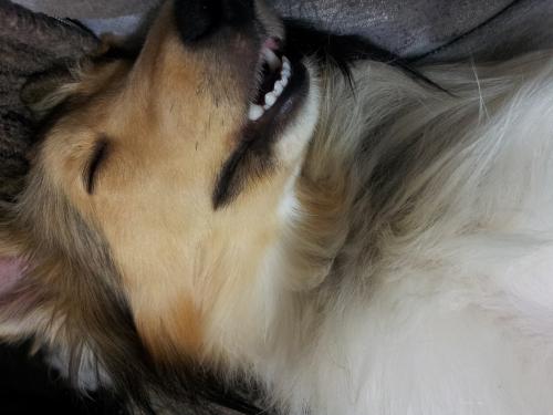 Ida dreaming in my arms