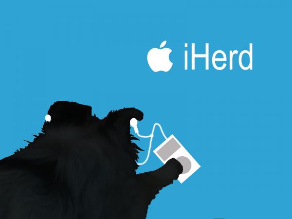iHerd 1024x768