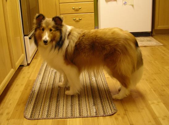 I'm 2 years, 1 month old.