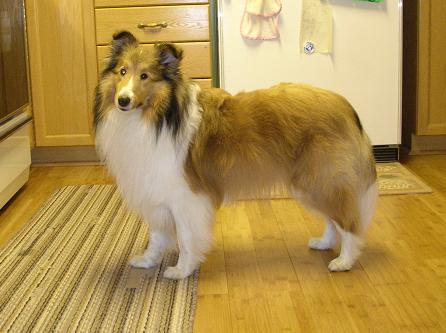 I'm 2 yrs, 3 months old.