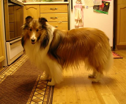 I'm 2 yrs, 7 months old.