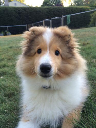 I'm adorable