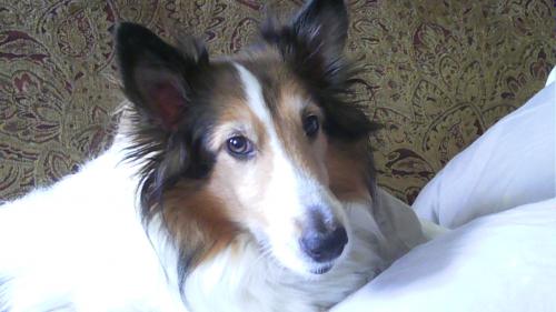 IMAG0118 My handsome boy.