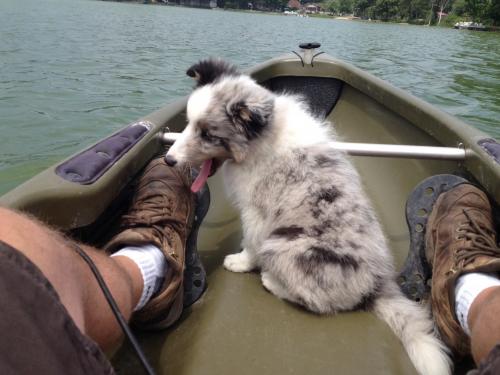 image  blue enjoying the ride
