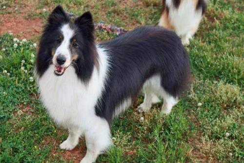 IMG 1238