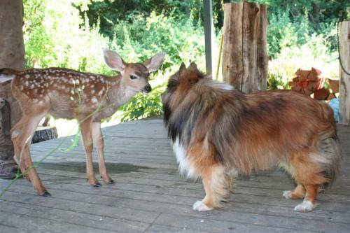 IMG 2583 (Large)
