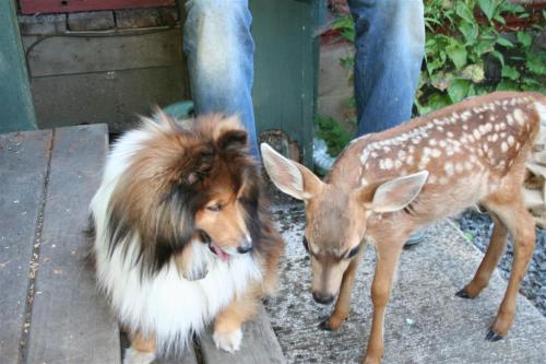 IMG 2586 (Large)