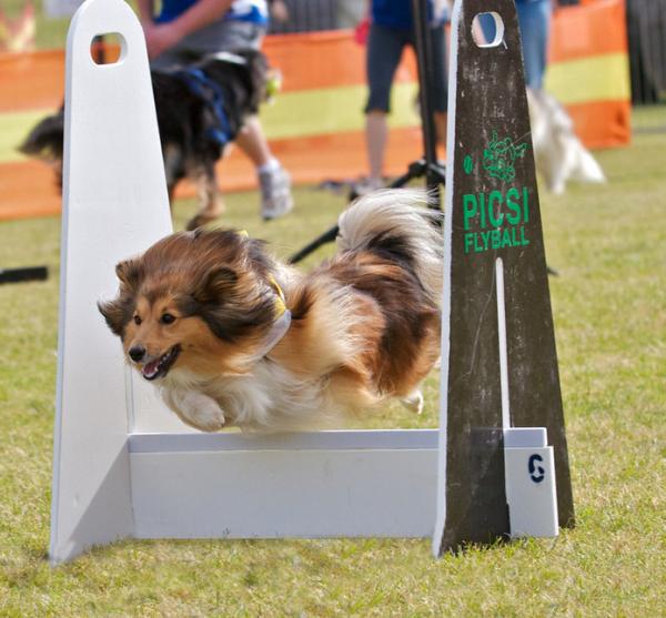 Its a bird...its a plane... no its SUPER TULLY.