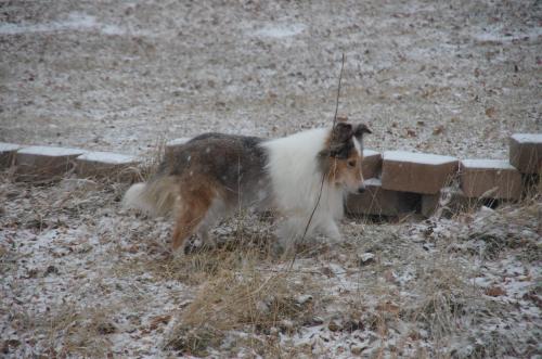 It's snowing!