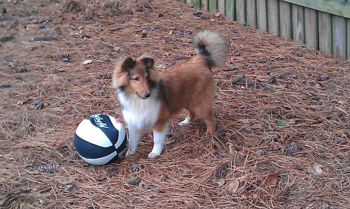 Jagger 10.08.12