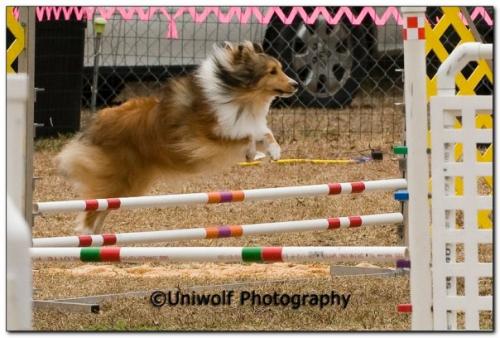January Trial (2010)