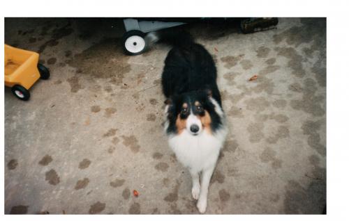 Jasmine sometime around 1997-1999.