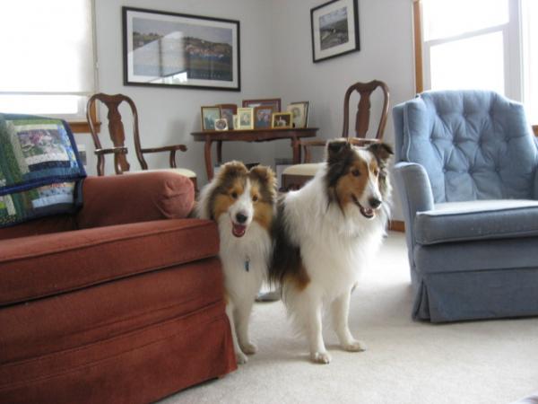 Joey&Bailey