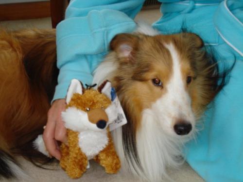 Joey&Fox