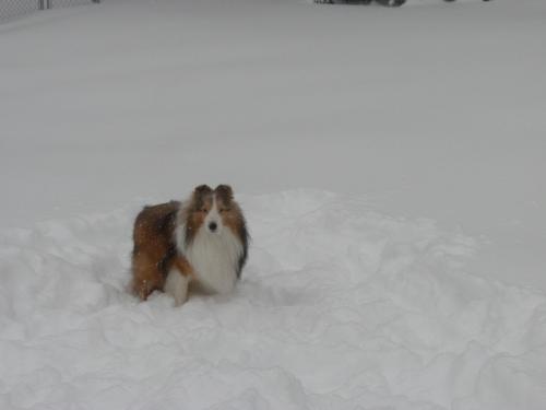 Joey striking a pose