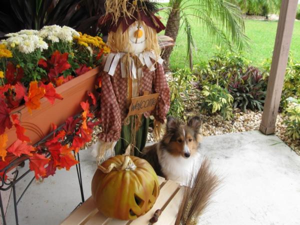 Just hanging with the scarecrow and the jack-o-lanterns!