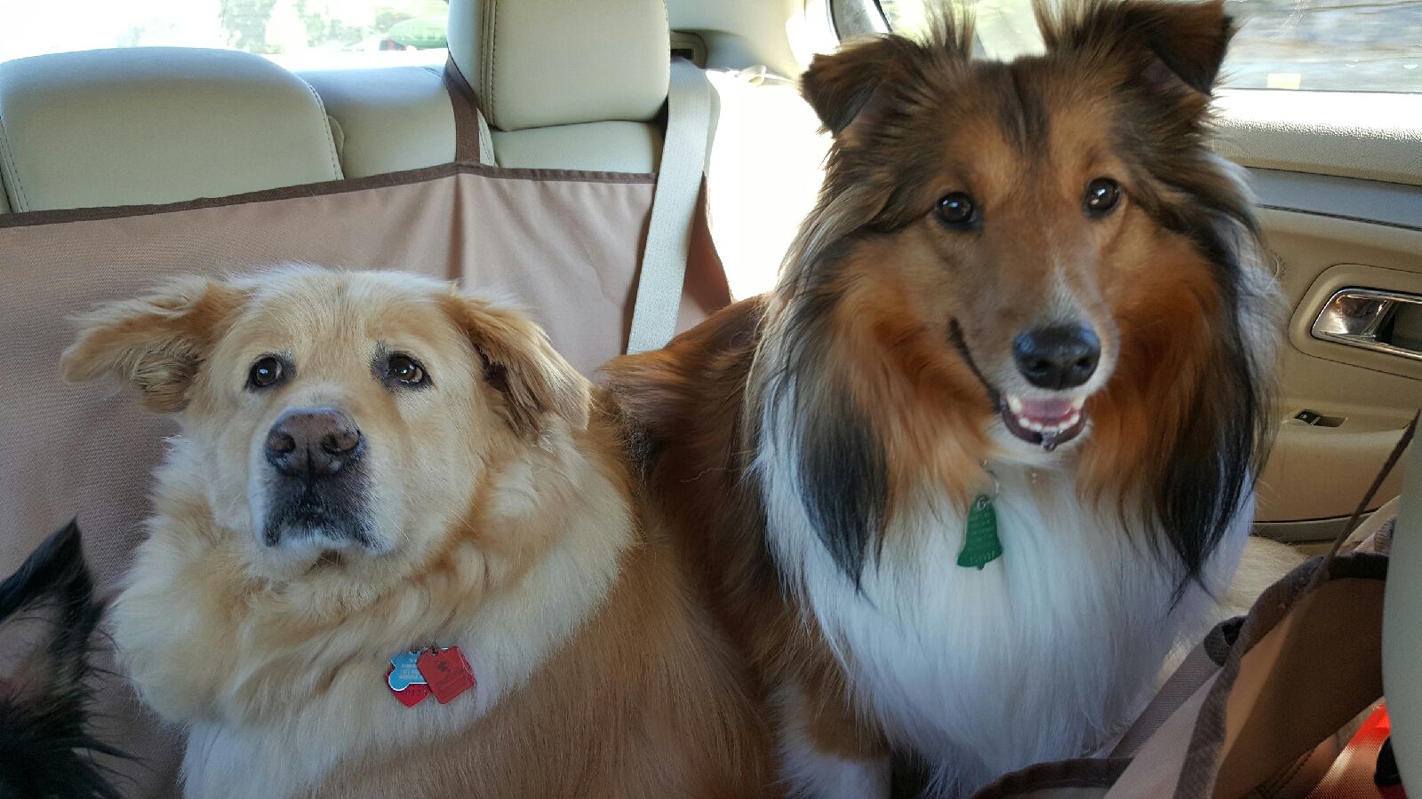 Katie And Max